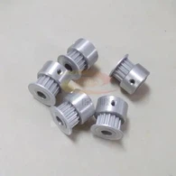 2gt laiko skriemulys